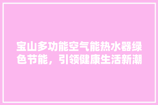 宝山多功能空气能热水器绿色节能，引领健康生活新潮流 空调