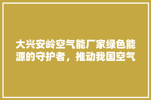 大兴安岭空气能厂家绿色能源的守护者，推动我国空气能行业蓬勃发展 空调