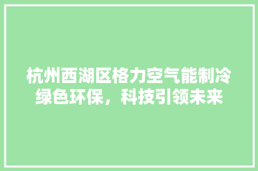 杭州西湖区格力空气能制冷绿色环保，科技引领未来 冰箱