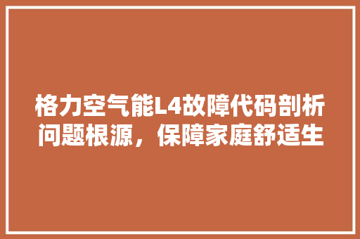 格力空气能L4故障代码剖析问题根源，保障家庭舒适生活 洗衣机