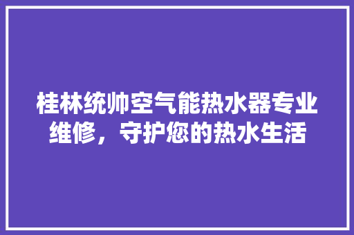 桂林统帅空气能热水器专业维修，守护您的热水生活 清洁保养