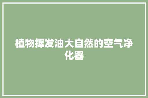 植物挥发油大自然的空气净化器 翻新改色