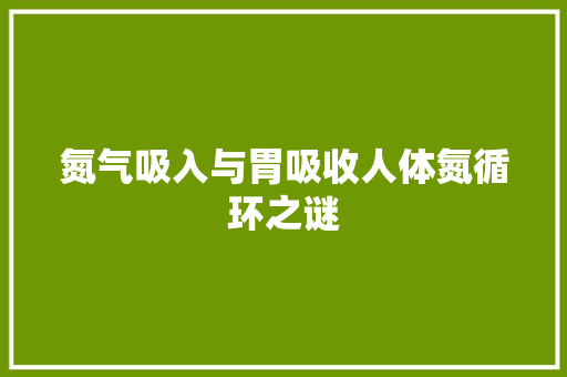 氮气吸入与胃吸收人体氮循环之谜 水电维修