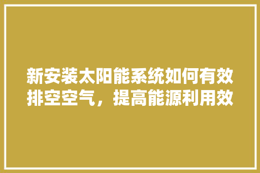 新安装太阳能系统如何有效排空空气，提高能源利用效率 家居维修