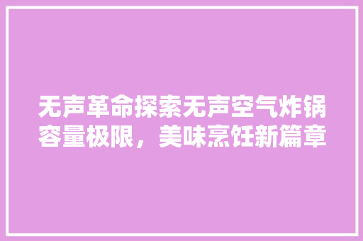 无声革命探索无声空气炸锅容量极限，美味烹饪新篇章 洗衣机