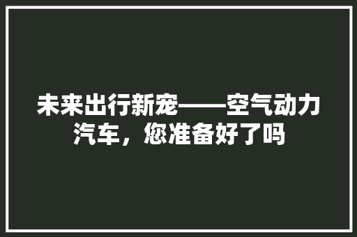 未来出行新宠——空气动力汽车，您准备好了吗 灯具安装