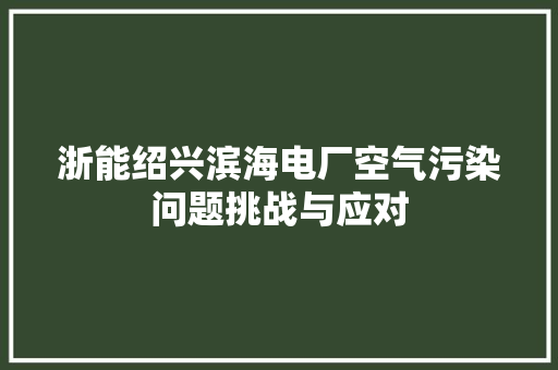 浙能绍兴滨海电厂空气污染问题挑战与应对 龙头管件