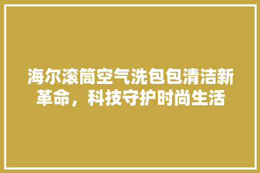 海尔滚筒空气洗包包清洁新革命，科技守护时尚生活 局部翻新