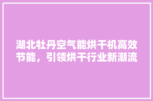 湖北牡丹空气能烘干机高效节能，引领烘干行业新潮流 贴膜
