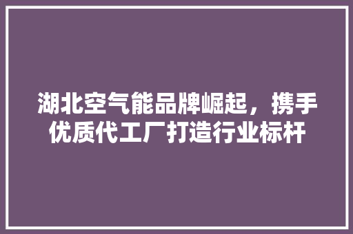 湖北空气能品牌崛起，携手优质代工厂打造行业标杆 家具修理