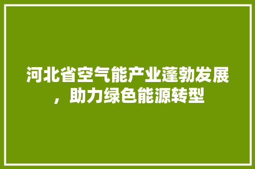 河北省空气能产业蓬勃发展，助力绿色能源转型 家居维修