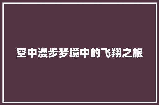 空中漫步梦境中的飞翔之旅 翻新改色