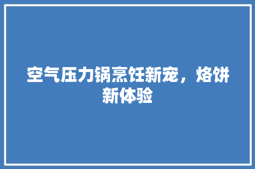 空气压力锅烹饪新宠，烙饼新体验 装修设计