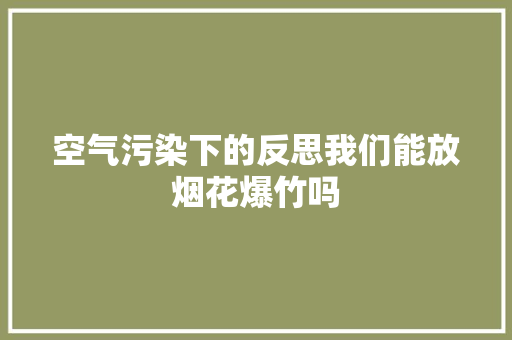 空气污染下的反思我们能放烟花爆竹吗 灯具安装
