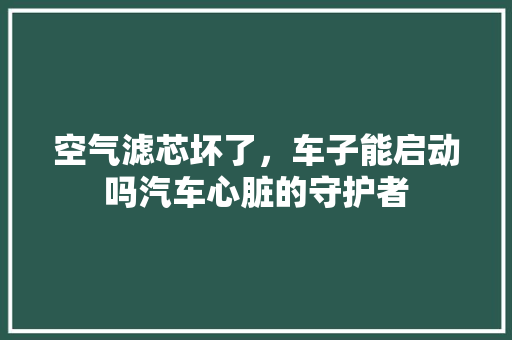 空气滤芯坏了，车子能启动吗汽车心脏的守护者 局部翻新