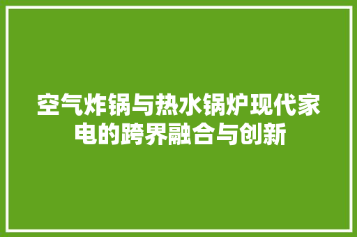 空气炸锅与热水锅炉现代家电的跨界融合与创新 冰箱