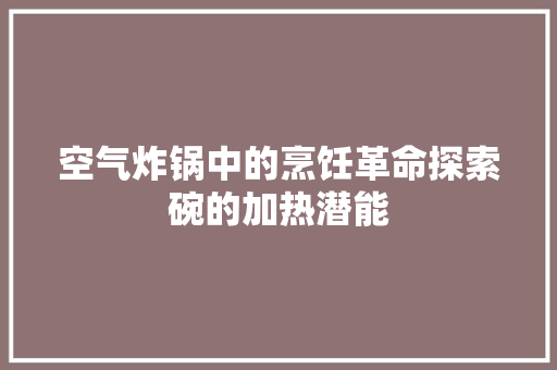 空气炸锅中的烹饪革命探索碗的加热潜能 冰箱