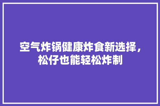 空气炸锅健康炸食新选择，松仔也能轻松炸制 水电维修