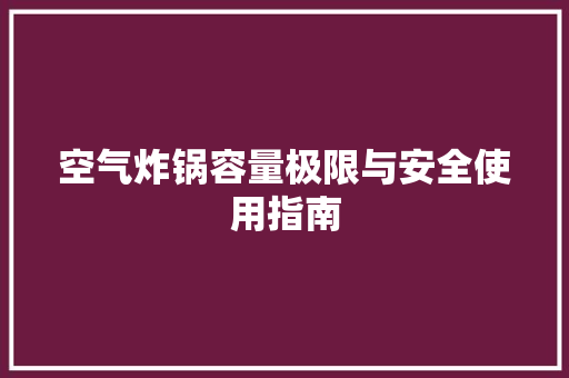 空气炸锅容量极限与安全使用指南 贴膜