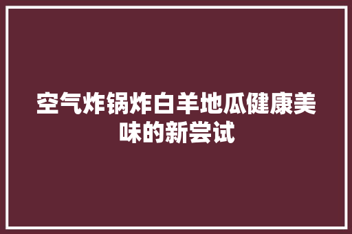 空气炸锅炸白羊地瓜健康美味的新尝试 热水器