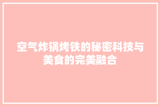 空气炸锅烤铁的秘密科技与美食的完美融合 冰箱