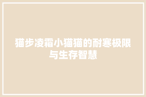 猫步凌霜小猫猫的耐寒极限与生存智慧 翻新改色