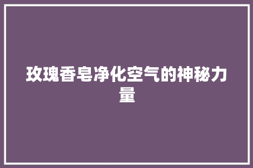 玫瑰香皂净化空气的神秘力量 局部翻新