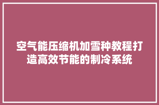 空气能压缩机加雪种教程打造高效节能的制冷系统 水电维修