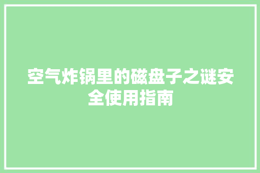 空气炸锅里的磁盘子之谜安全使用指南 翻新改色