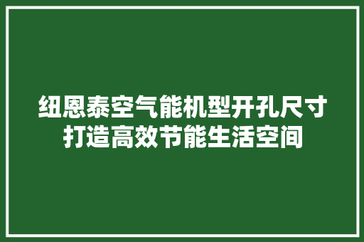 纽恩泰空气能机型开孔尺寸打造高效节能生活空间 旧房改造