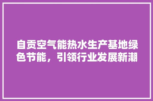 自贡空气能热水生产基地绿色节能，引领行业发展新潮流 水电维修