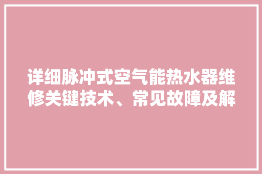 详细脉冲式空气能热水器维修关键技术、常见故障及解决方法 洗衣机