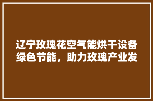 辽宁玫瑰花空气能烘干设备绿色节能，助力玫瑰产业发展 清洁保养