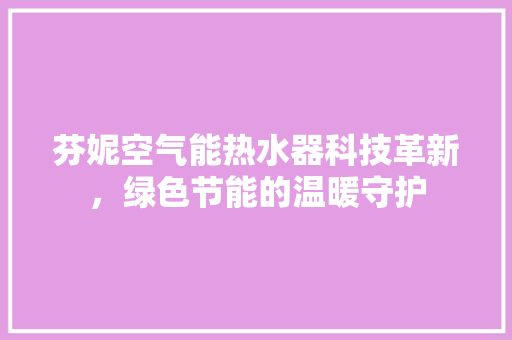 芬妮空气能热水器科技革新，绿色节能的温暖守护 洗衣机