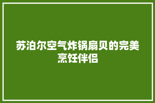 苏泊尔空气炸锅扇贝的完美烹饪伴侣 洁具维修