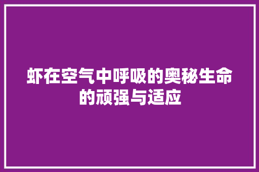 虾在空气中呼吸的奥秘生命的顽强与适应 家居维修