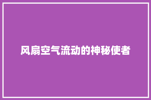 风扇空气流动的神秘使者 洗衣机