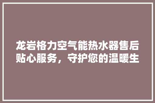龙岩格力空气能热水器售后贴心服务，守护您的温暖生活 家居维修