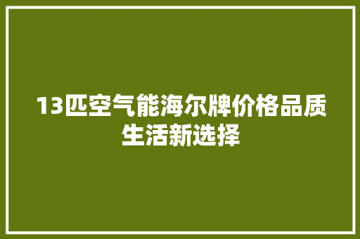 13匹空气能海尔牌价格品质生活新选择 冰箱