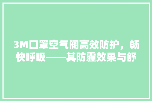 3M口罩空气阀高效防护，畅快呼吸——其防霾效果与舒适 旧房改造