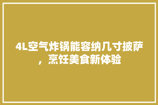 4L空气炸锅能容纳几寸披萨，烹饪美食新体验 灯具安装