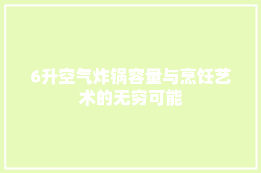 6升空气炸锅容量与烹饪艺术的无穷可能 翻新改色