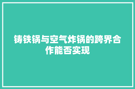 铸铁锅与空气炸锅的跨界合作能否实现 龙头管件