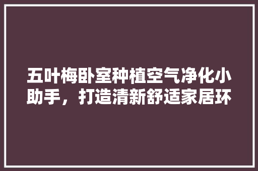 五叶梅卧室种植空气净化小助手，打造清新舒适家居环境 装修设计