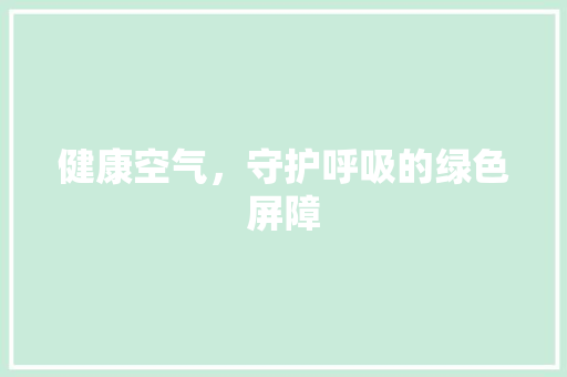 健康空气，守护呼吸的绿色屏障 空调