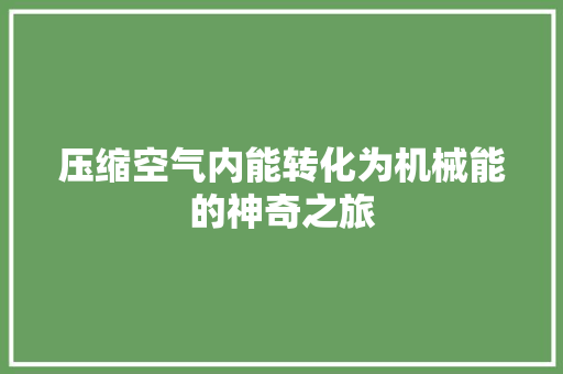 压缩空气内能转化为机械能的神奇之旅 洗衣机