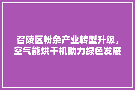 召陵区粉条产业转型升级，空气能烘干机助力绿色发展 热水器
