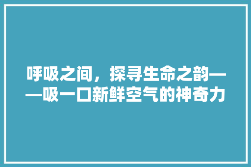 呼吸之间，探寻生命之韵——吸一口新鲜空气的神奇力量 翻新改色