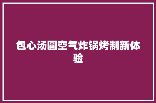 包心汤圆空气炸锅烤制新体验 洁具维修