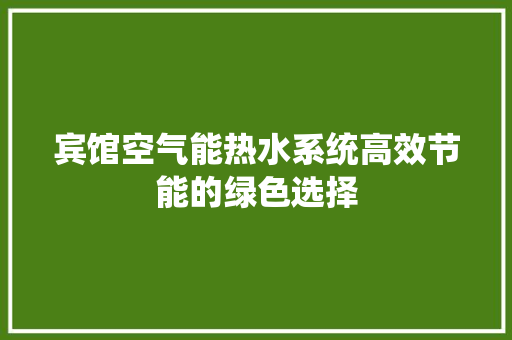 宾馆空气能热水系统高效节能的绿色选择 水电维修
